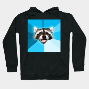 Lame Pun Coon Hoodie